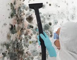 Best Mold Remediation for Healthcare Facilities  in Strongsville, OH